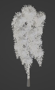 SB_Tree_Birch_0